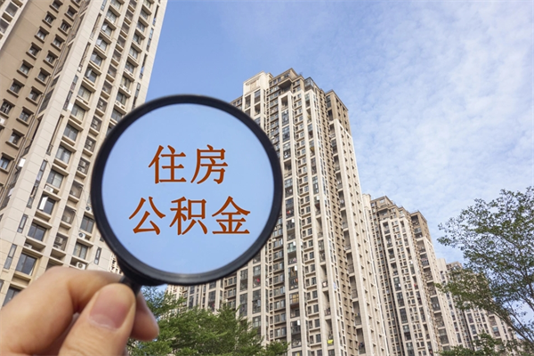莱芜离职后公司不给转公积金怎么办（离职后公司不给转社保怎么办）